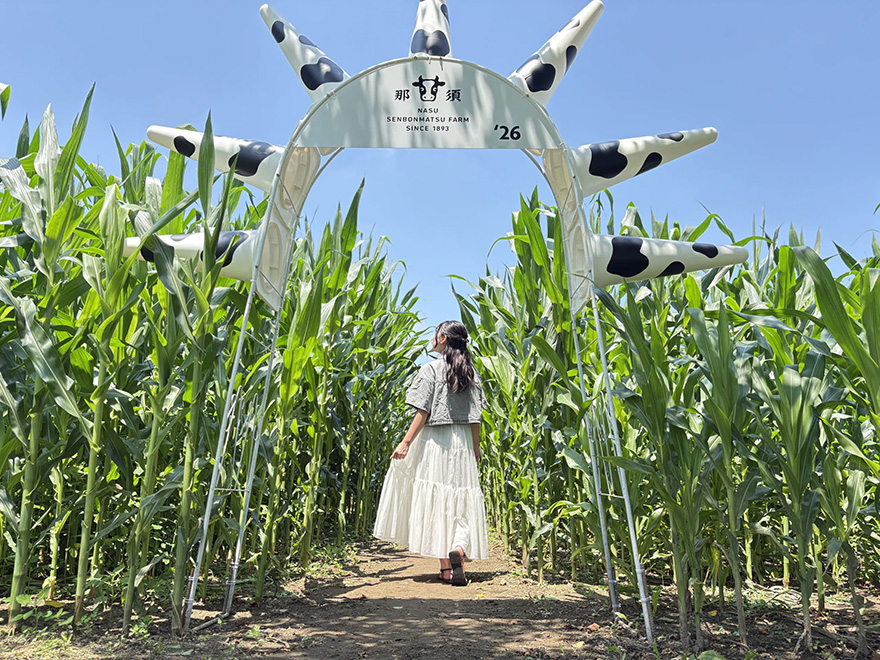 夏フェス2026