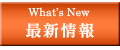 ŐV / What's New